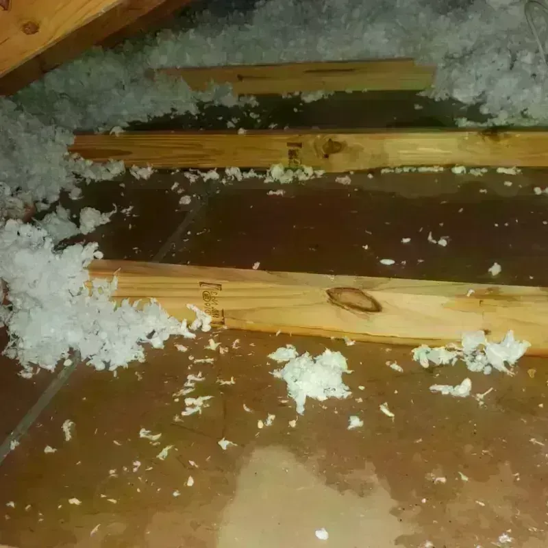 Attic Water Damage in West Bountiful, UT